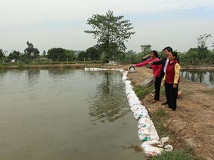 Ninh Bình: Nhà nông được tiếp vốn thả cá, nuôi vịt trời