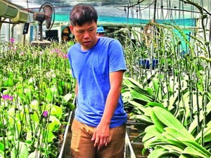Tây Ninh: Vườn lan ‘quý tộc’ tiền tỷ của chàng thạc sĩ  xây dựng