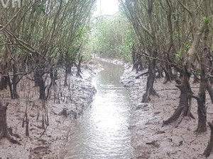 Núi Mã Yên ở Ninh Bình, mộ vua Đinh trên đỉnh núi, mộ vua Lê dưới chân núi, hai vua lấy một vợ - Ảnh 14.