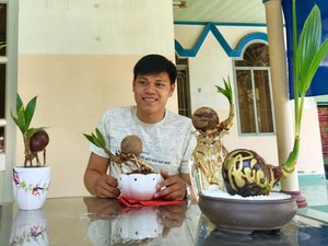 Độc đáo Bến Tre: Bonsai dừa độc lạ giá hơn triệu một chậu bé tí