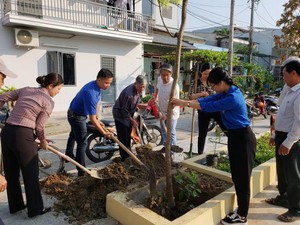 Đà Nẵng: Nông dân hưởng ứng trồng cây xanh ở các tuyến đường