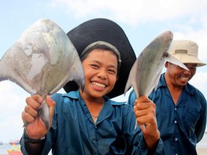 Cá chim "tràn" sát bờ biển Vũng Tàu, ngư dân ngày dễ kiếm vài triệu