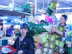 Hình ảnh náo nhiệt tại chợ hoa lớn nhất Hà Nội trước ngày 8.3