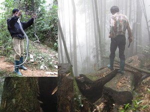 Run bần bật chuyện lao vào rừng sâu để vồ "thần chết" ở Lào Cai