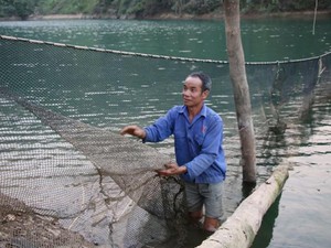 Lạ mà hay: Cả gan ngăn hồ sông Đà nuôi cá, lãi hàng trăm triệu/năm