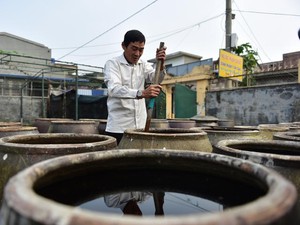 Cận cảnh quy trình sản xuất nước mắm truyền thống Cát Hải: 2 năm mới cho ra 1 mẻ