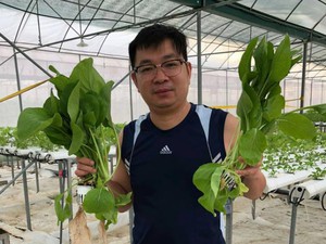 Hà Tĩnh: Trai "liều" đổ cả tiền tỷ chỉ để đi trồng rau