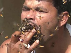 Chuyện lạ có thật: Người đàn ông "nhốt" ong vào miệng khi lấy mật