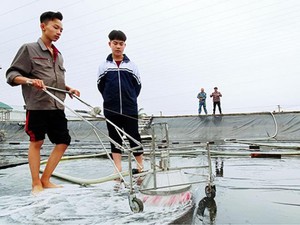 Nhà sáng chế học sinh và cỗ máy trợ lực cho người nuôi tôm thần thánh