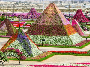 Bên trong vườn hoa lớn nhất thế giới nằm giữa sa mạc có gì đặc biệt?