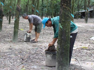 Tây Ninh: Lãng phí hàng tỷ đồng mua trang thiết bị đào tạo nghề nông thôn
