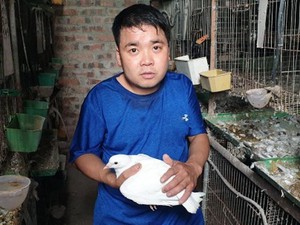 Nam Định: Xây nhà lầu nuôi bồ câu, 9X tật nguyền bỏ túi tiền to