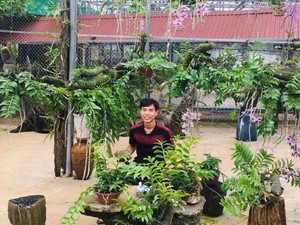 Vườn lan rừng &quot;khủng&quot; của 9X Quảng Nam, có 10.000 giò giả hạc