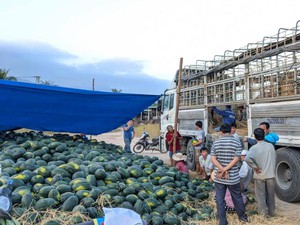 Nông dân sáng chế máy cày lên luống làm nhanh gấp 5 lần thủ công, cả làng ở Bình Định phục sát đất - Ảnh 3.