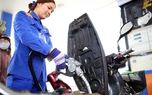 Vì sao tốc độ giảm giá xăng dầu Việt Nam chỉ bằng 40% thế giới?