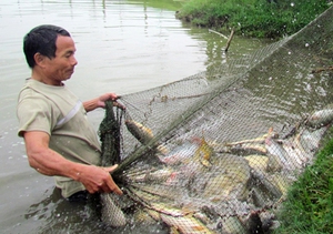 Hội Nông dân Hà Tĩnh: Cầu nối “bốn nhà”