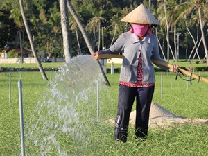 Nông dân khổ  vì điện chập chờn