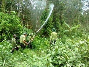 Canh lửa, giữ rừng  qua... vệ tinh