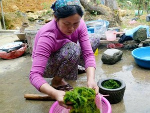 Đặc sản rêu đá - bí quyết sống trường thọ của người Hà Giang