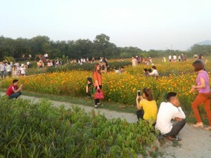 Hà Tĩnh: Bãi biển, điểm du lịch sinh thái hút khách ngày lễ