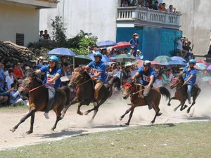 Hàng nghìn người xem đua ngựa ở Bắc Hà bất chấp nắng nóng 40 độ C