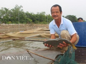 Tôm thẻ chân trắng, nông dân Thái Bình nuôi vụ đông trúng lớn, giá bán tăng cao chưa từng thấy - Ảnh 6.