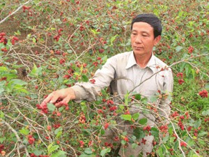 Cơ sở hạ tầng đồng bộ, hỗ trợ mô hình sản xuất mới, nông thôn Nam Giang ở Quảng Nam tốt hơn - Ảnh 10.