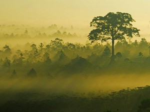 Đi du lịch Bảo Lộc mùa nào đẹp nhất?: Nơi có view triệu đô được giới trẻ yêu thích - Ảnh 7.