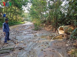 Cá chết trên sông Bồng Miêu: Doanh nghiệp "tham bát bỏ mâm"