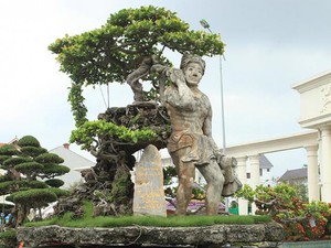 Xôn xao “cây Thạch Sanh” được báo giá hơn 4 tỉ ở Hải Dương