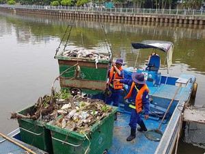 Cá ở kênh Nhiêu Lộc - Thị Nghè: Bao giờ mới thôi "đến hẹn lại... chết"?