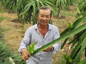 Tỷ phú Lê Hùng Dũng: Nuôi tôm thua lỗ, trồng quả đỏ lại lên hương