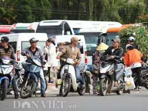 Du khách ngán ngẩm vì "cò" du lịch lộng hành ở Đà Lạt