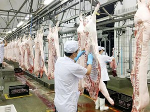 Bộ NN&PTNT chuẩn bị gì cho tham vọng tăng xuất khẩu thịt lợn?