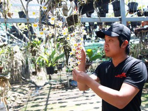 Nuôi con đặc sản bình dân kiểu "sang chảnh" ở Lâm Đồng, cho cá rô đồng, ếch thịt ở chung nhà kính - Ảnh 4.