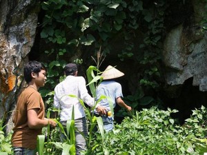 Trồng mận người ta cứ chê cho tiền lẻ, ở Sơn La ông tỷ phú này trồng kiểu gì mà thu tiền to? - Ảnh 12.