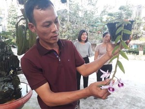 Lạ Thái Nguyên: Vườn lan siêu độc, giá cả chục triệu 1cm