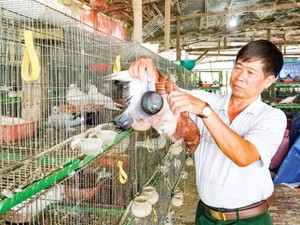 La liệt đặc sản mùa nước nổi An Giang, chuột đồng, cá linh, ếch đồng nướng nguyên con cả da - Ảnh 3.