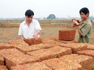 Thủ đô có làng trăm năm ra đồng đục đẽo đá ong làm đẹp cho đời