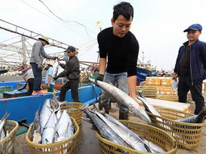 Phạt đến 1 tỷ đồng cho hành vi khai thác thủy sản trái phép