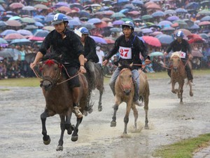 Hà Nội: Chưa hoạt động trường đua ngựa vẫn hút 4,75 tỷ USD vốn FDI