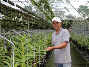 Lạc vào trang trại phong lan tiền tỷ giữa vùng cà phê Lâm Đồng