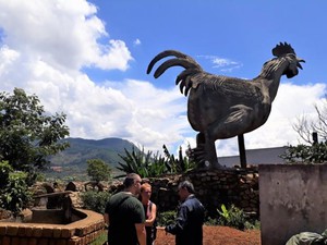Truyền thuyết làng Gà với tượng gà trống 9 cựa khổng lồ bị bỏ hoang