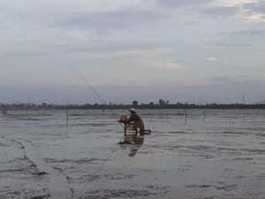 Độc lạ: Không cần mồi, loài cá kỳ lạ này vẫn phi vào giỏ ầm ầm