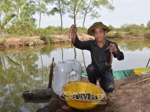 “Đệ nhất” thụt lịch xứ Cà Mau và câu chuyện ly kỳ về 1 anh Hai Lúa