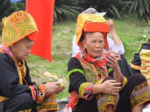 Đặc sản xứ Lạng: Rùa đá nhốt rọ, quả lạ vàng rực, rết độc nhốt chai