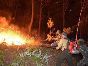 Cháy rừng thông ở Hà Tĩnh, Thủ tướng lập tức ra công điện khẩn