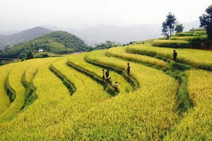 Hòa Bình: Dừng tổ chức Lễ hội ruộng bậc thang Miền Đồi để tập trung kinh phí khắc phục bão số 3 - Ảnh 5.