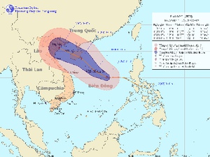 Mãn nhãn xem màn bay liệng bắt cá của nhạn biển Cần Giờ - Ảnh 9.