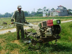 Bí quyết xây dựng NTM của Mỹ Thịnh: Thành lập tổ dịch vụ nông nghiệp